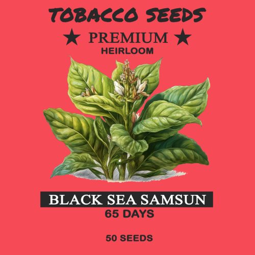 cigarette seeds Nicotiana rustica Midewiwan Sacred Tobacco Tobacco Seeds - Huge selection!